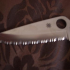 DSCI0543