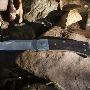 Buck110