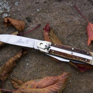 Hubertus Springer20121023 2