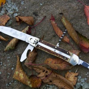 Hubertus Springer20121023 3