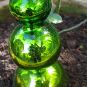 green peace