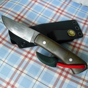 Wood yvolution 0012