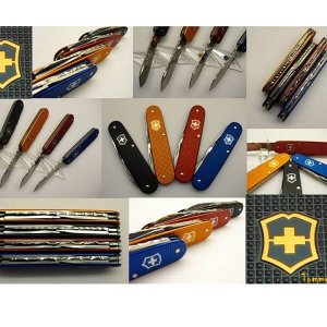 Cadet Colors