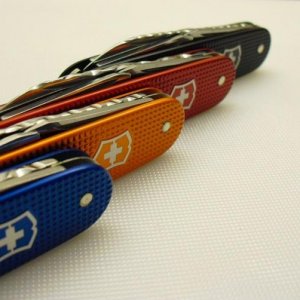 Cadet Colors 02522