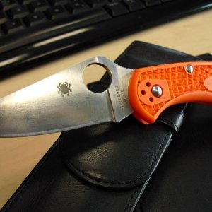 SpyFam0030