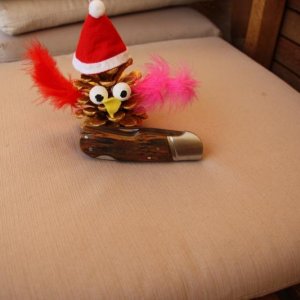 IMG 3939