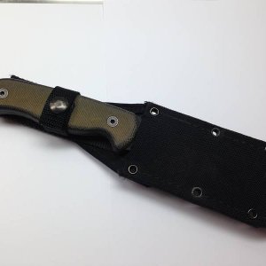 aIMG 2968