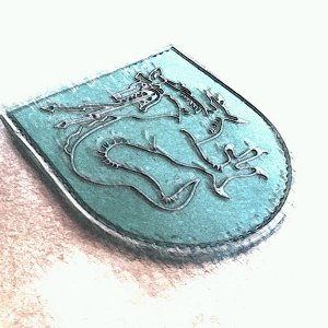 OA TiSepp Review021