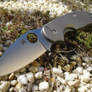 Spyderco Sage1&2 016