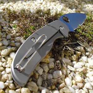 Spyderco Sage1&2 017