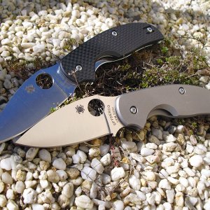 Spyderco Sage1&2 020