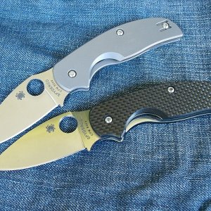 Spyderco Sage1&2 032