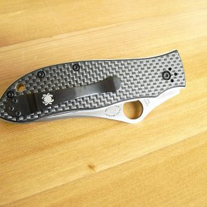 Spyderco Gayle Bradley 007
