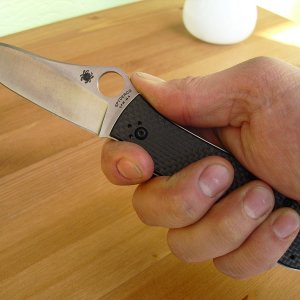 Spyderco Gayle Bradley 014