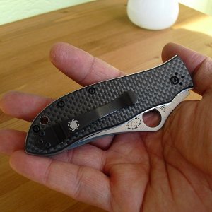 Spyderco Gayle Bradley 017