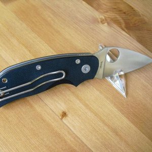 Spyderco Cat 004