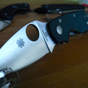 Spyderco Cat 007