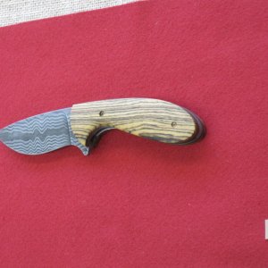 IMG 0953