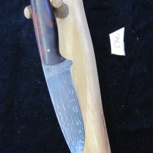 IMG 0977