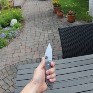 IMG 3613