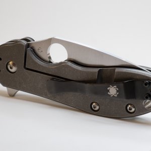 Spyderco Domino (2 von 5)