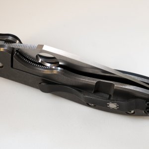 Spyderco Domino (3 von 5)
