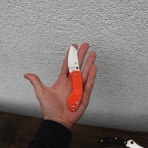 IMG 3723