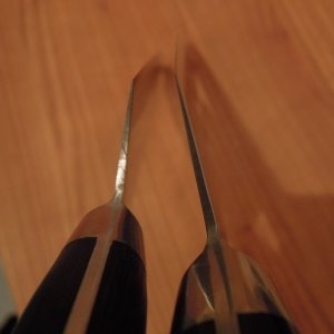 DSCN3992