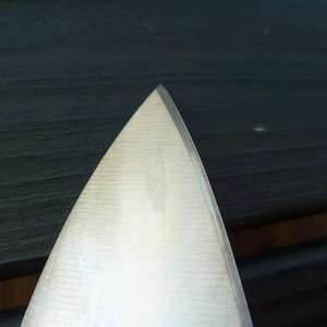 P1060781