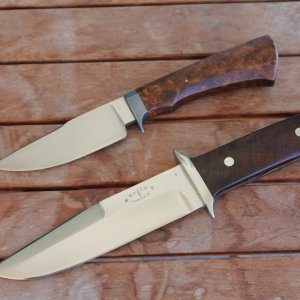 Hazen M 1