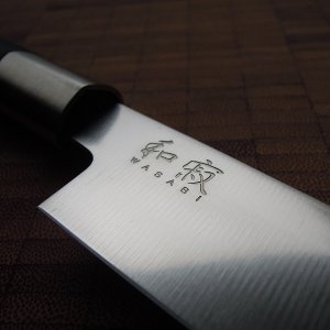 DSCN4293