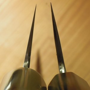 DSCN4241