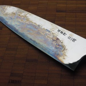 DSCN4309