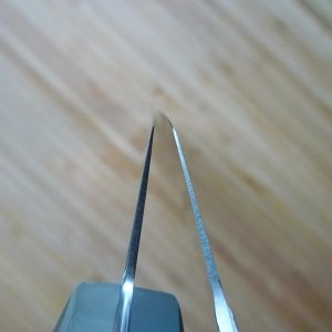 P1060906