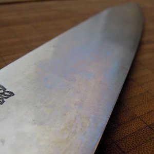DSCN4500
