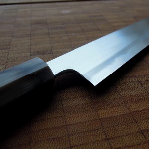 DSCN4554