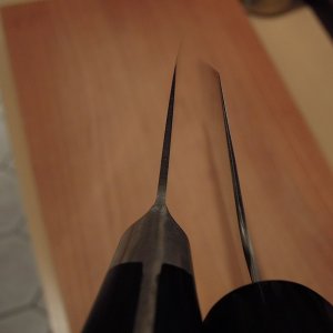 DSCN4646
