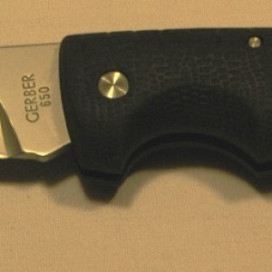 DSC 7995
