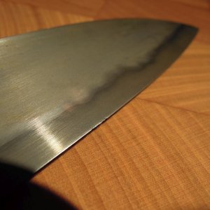 DSCN4702