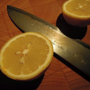 DSCN4721