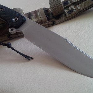 OU81NSDW