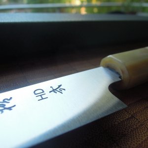 DSCN6618