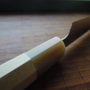 DSCN6621