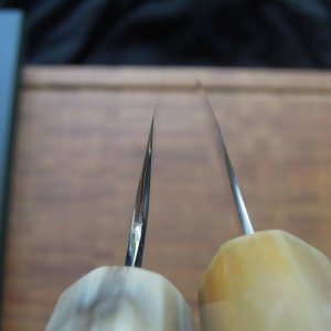 DSCN6631