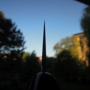 DSCN6651