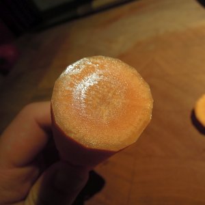 DSCN6706