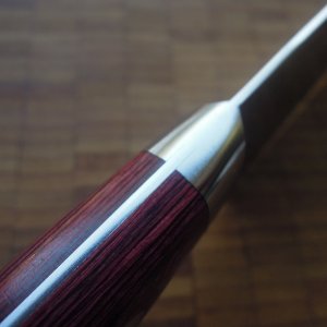 DSCN6408