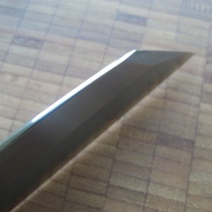 DSCN6361
