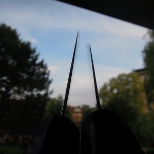 DSCN6859