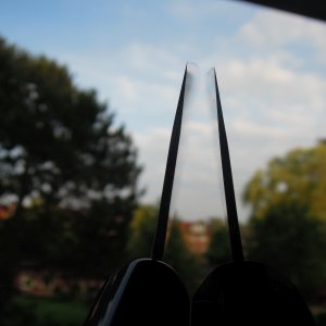 DSCN6880